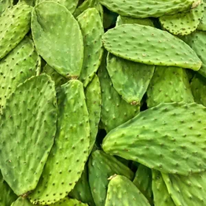 Caja de nopal cosecha Morelos - 200 pzas